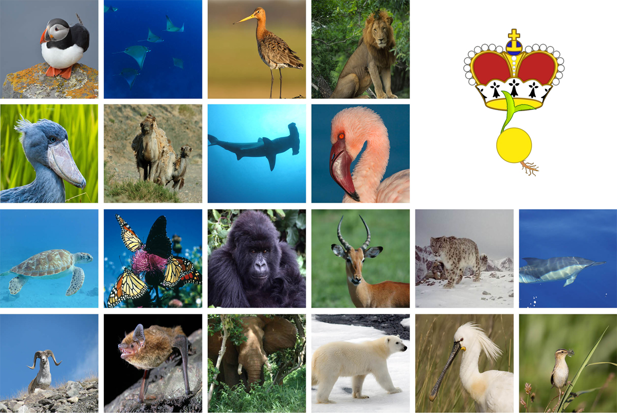 The International Day for Biological Diversity