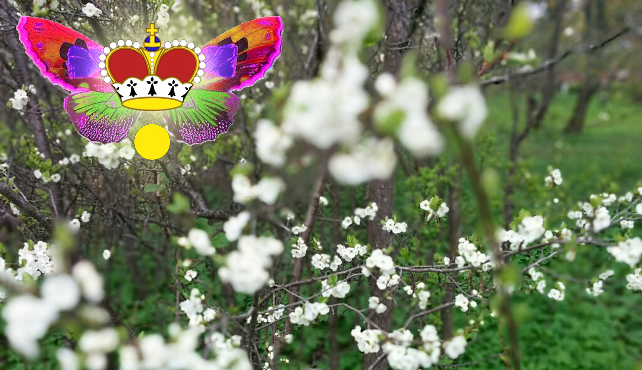 Lorenzburg signs micronational declaration on Ecological Stewardship