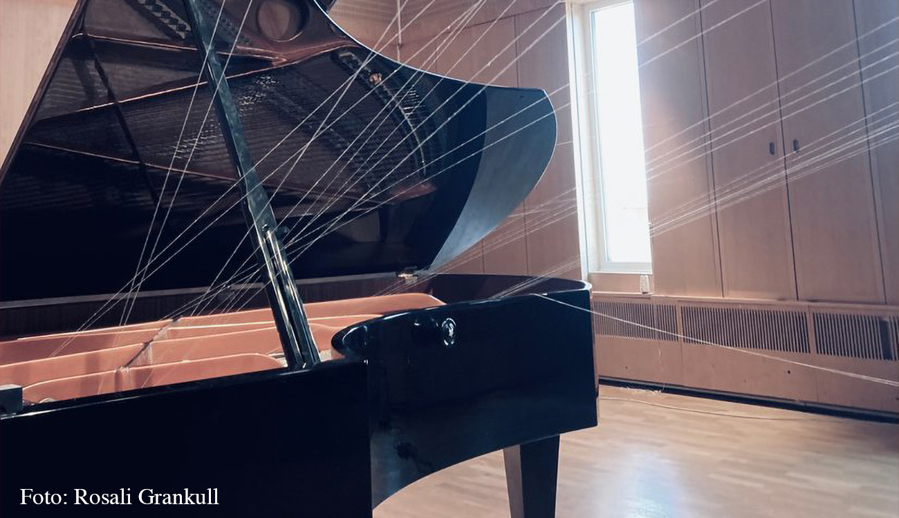 Prince Frei granted an audience to composer and sound artist Rosali Grankull